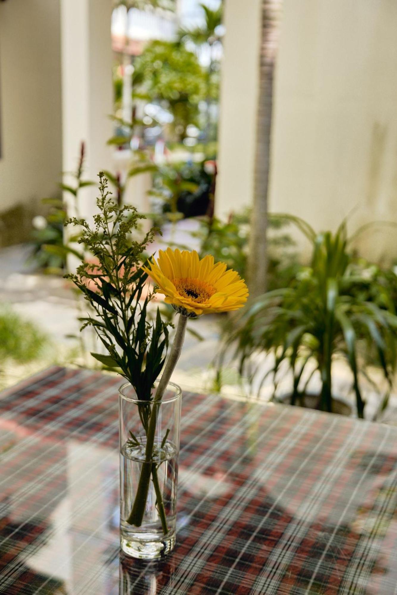 Hoi An Holiday Villa Zewnętrze zdjęcie